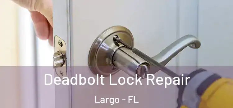 Deadbolt Lock Repair Largo - FL