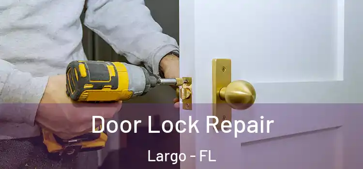  Door Lock Repair Largo - FL
