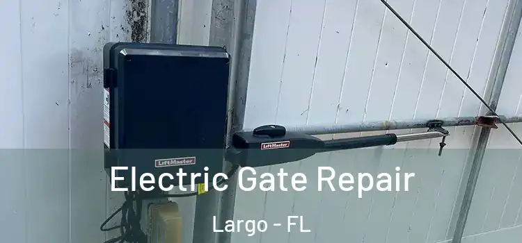  Electric Gate Repair Largo - FL