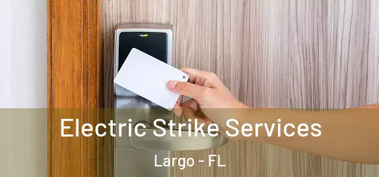  Electric Strike Services Largo - FL