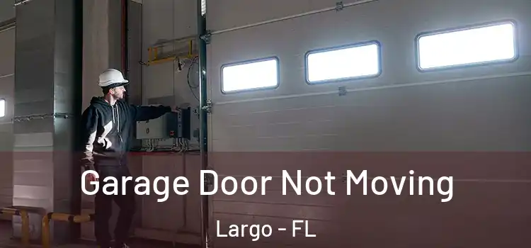  Garage Door Not Moving Largo - FL