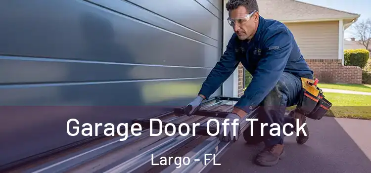  Garage Door Off Track Largo - FL