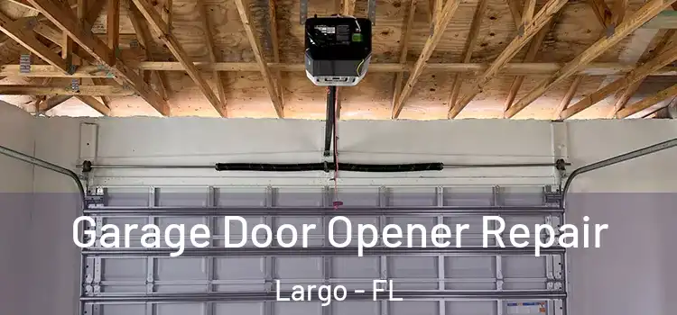  Garage Door Opener Repair Largo - FL