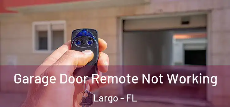  Garage Door Remote Not Working Largo - FL