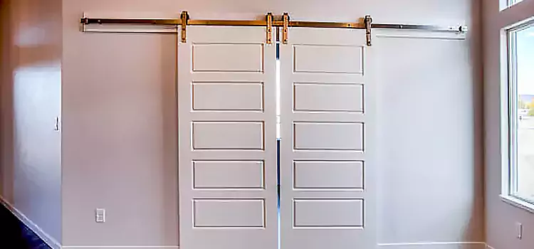 Glass Barn Door with Installation Hardware Kit Largo