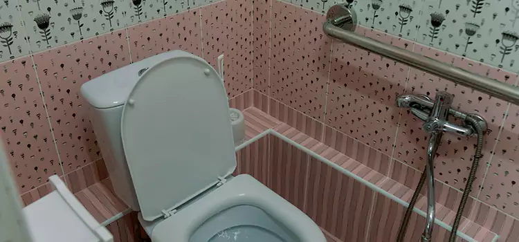 Meeting Diverse Needs With Accessible Restroom Solutions in Largo, FL