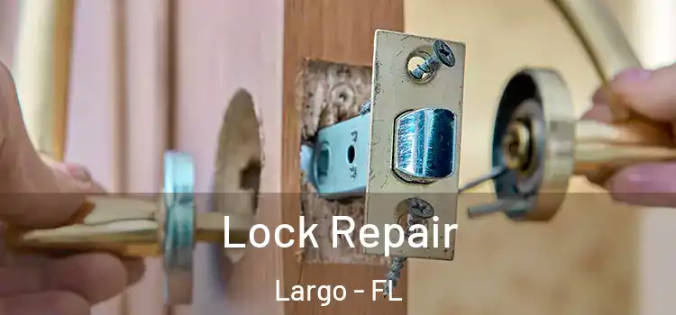 Lock Repair Largo - FL