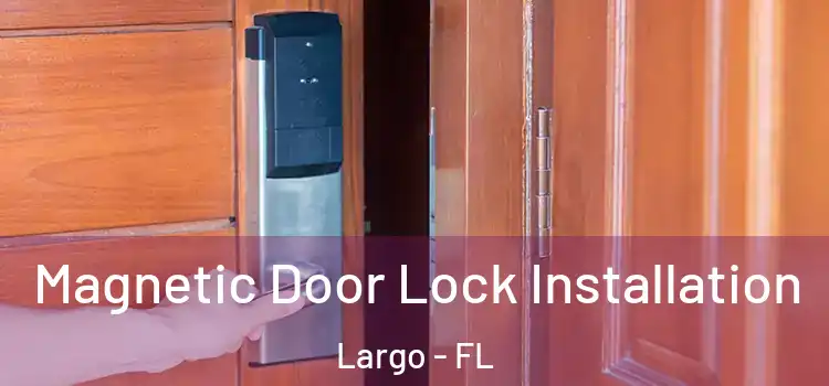  Magnetic Door Lock Installation Largo - FL