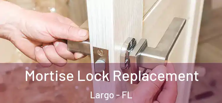 Mortise Lock Replacement Largo - FL