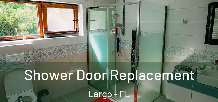 Shower Door Replacement Largo - FL